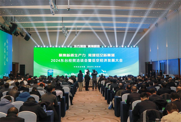 东台经洽会暨低空经济发展大会举办