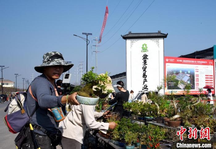 超百万盆创意盆景汇聚江苏新沂参加盆景贸易发展大会